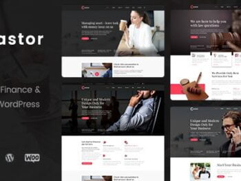 Castor - Business Consulting WordPress Theme