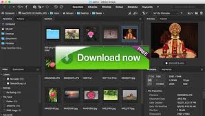 Adobe Bridge CC 2019