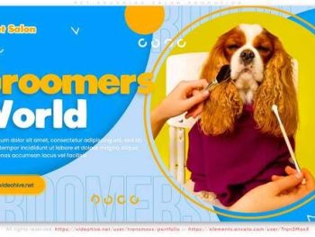 Pet Grooming Salon Promotion