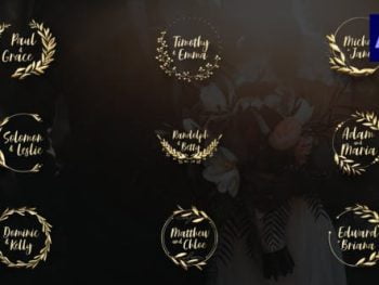 Gold Wedding Titles