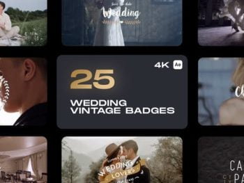 Wedding Vintage Badges