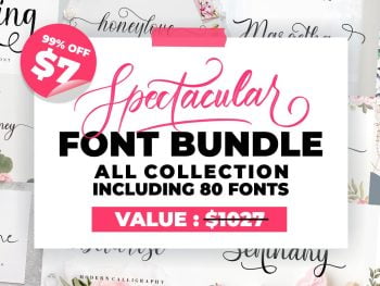 Spectacular Font Bundle