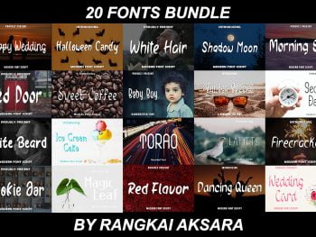 20 Fonts Bundle