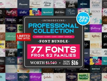 Professional Collection Font Bundle