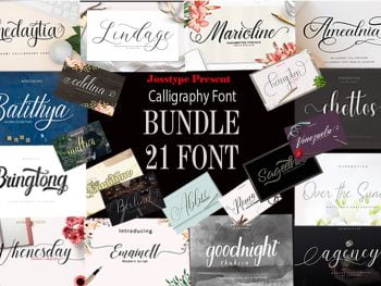 Calligraphy Font Bundle