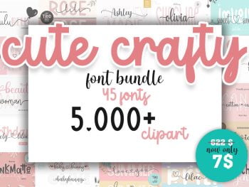 Cute Crafty Fonts and Clipart Bundle