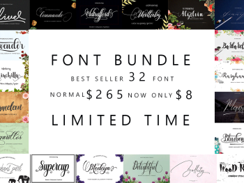 Font Bundle Collection