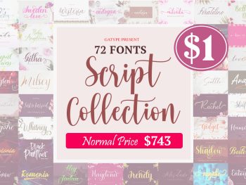 The Script Collection Bundle