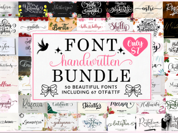 Font Collection Bundle