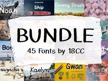 Fonts Bundle V1