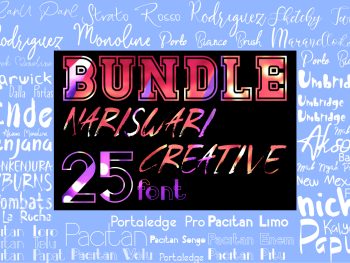 Nariswari Creative Font Bundle