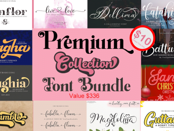 Premium Fonts Bundle