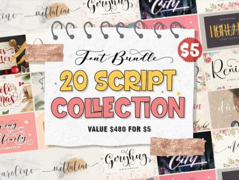 Script Fonts Bundle