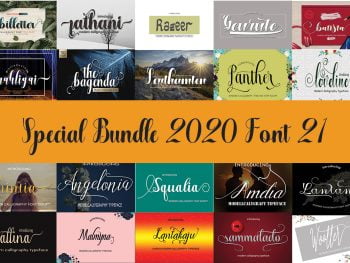 Special Bundle 2020