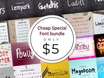 Special Font Bundle