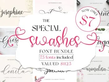 The Special Swashes Font Bundle