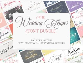 The Wedding Script Font Bundle