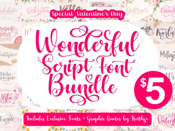 Wonderful Script Font Bundle